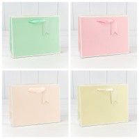 Пакет подарочный Однотонный в рамке (микс) 23*18*10 1/20 1/360 Арт: 000169EA