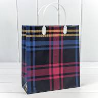 Пакет мягкий пластик Мужской (ассортимент) 23*26*10 1/20 1/200 Арт: BAS-2 - Пакет мягкий пластик Мужской (ассортимент) 23*26*10 1/20 1/200 Арт: BAS-2