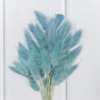 Сухоцветы "Лагурус" 60см (55±5 шт.) Синий 1/250 Арт: 420062/5