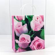 Пакет мягкий пластик Женский (ассортимент) 23*26*10 1/20 1/200 Арт: BAS-1 - Пакет мягкий пластик Женский (ассортимент) 23*26*10 1/20 1/200 Арт: BAS-1