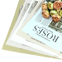 Плёнка 1614 56,5*56,5 см